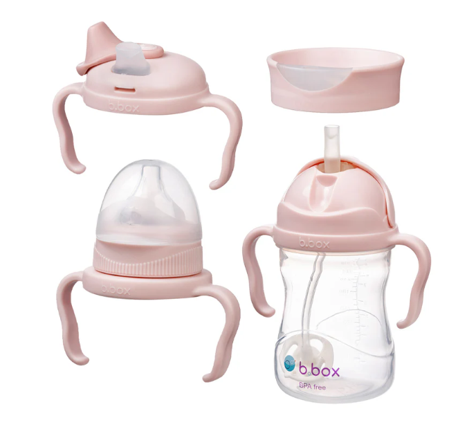 Back giá trị chuyển tiếp B.Box (Blush)